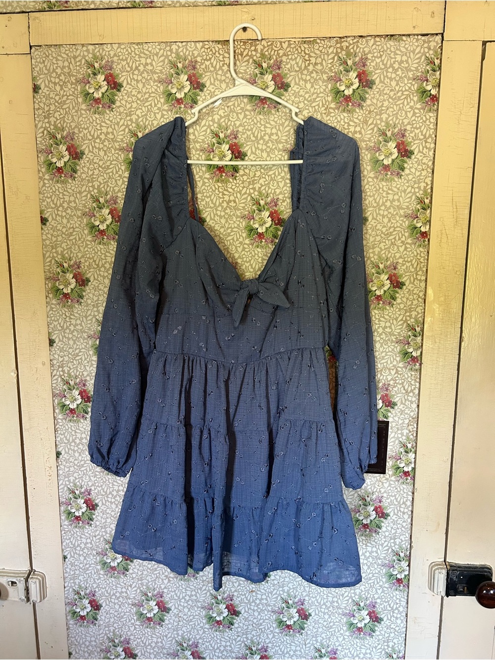 Blue Long-Sleeve Tiered Mini Dress